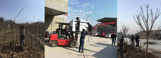 寶雞捷銳“迎春風(fēng)，綠家園”植樹(shù)節(jié)(圖2)